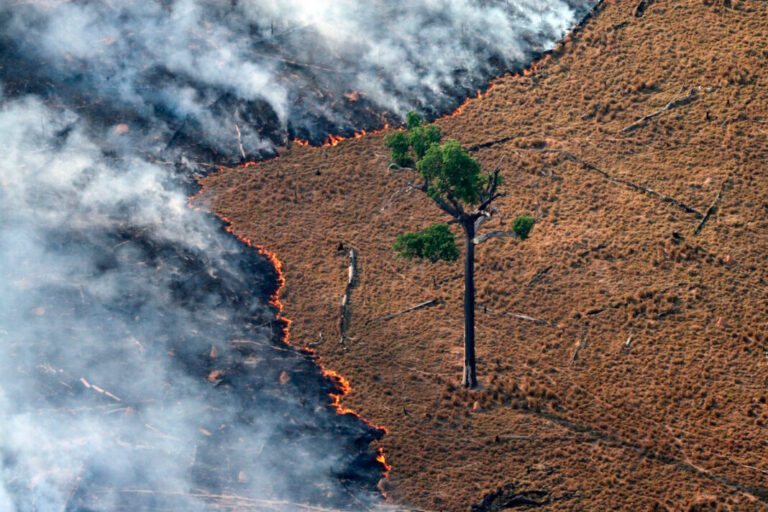 Queima-de-pastagem-em-área-desmatada-na-Amazônia-Foto-Rodrigo-Baleia-Greenpeace-1068x712
