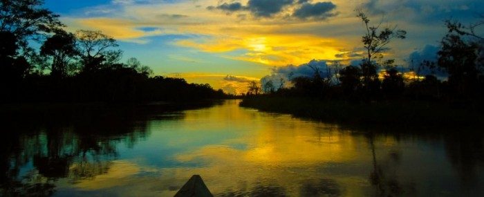 Futuro da inovação: estudo mapeia iniciativas na Amazônia