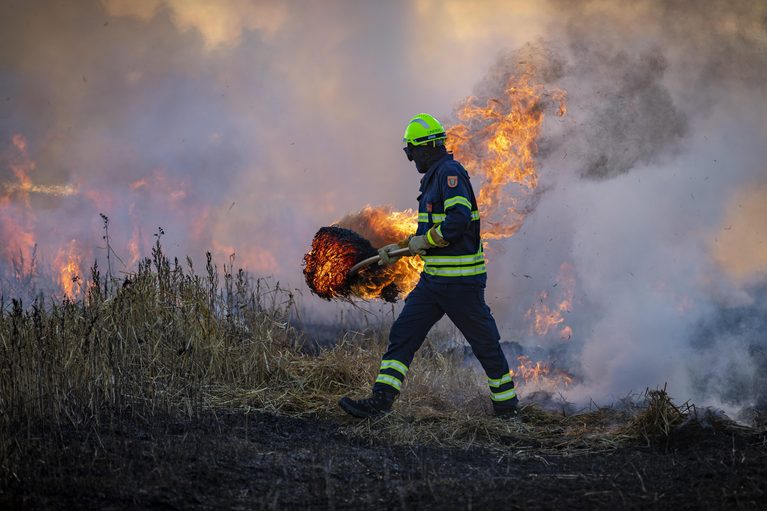 2025 foi o ano mais caro da história em termos de incêndios florestais