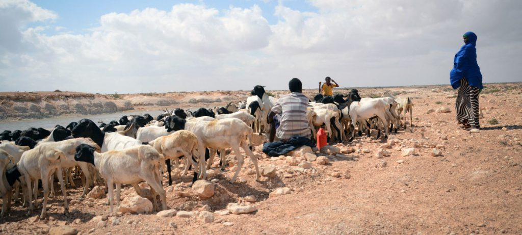 ONU destaca urg&ecirc;ncia de a&ccedil;&atilde;o clim&aacute;tica ap&oacute;s ag&ecirc;ncia meteorol&oacute;gica confirmar aquecimento global recorde