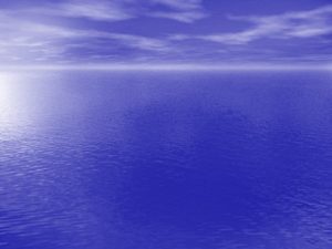 Iniciativa contribui no combate aos efeitos da mudan&ccedil;a clim&aacute;tica.