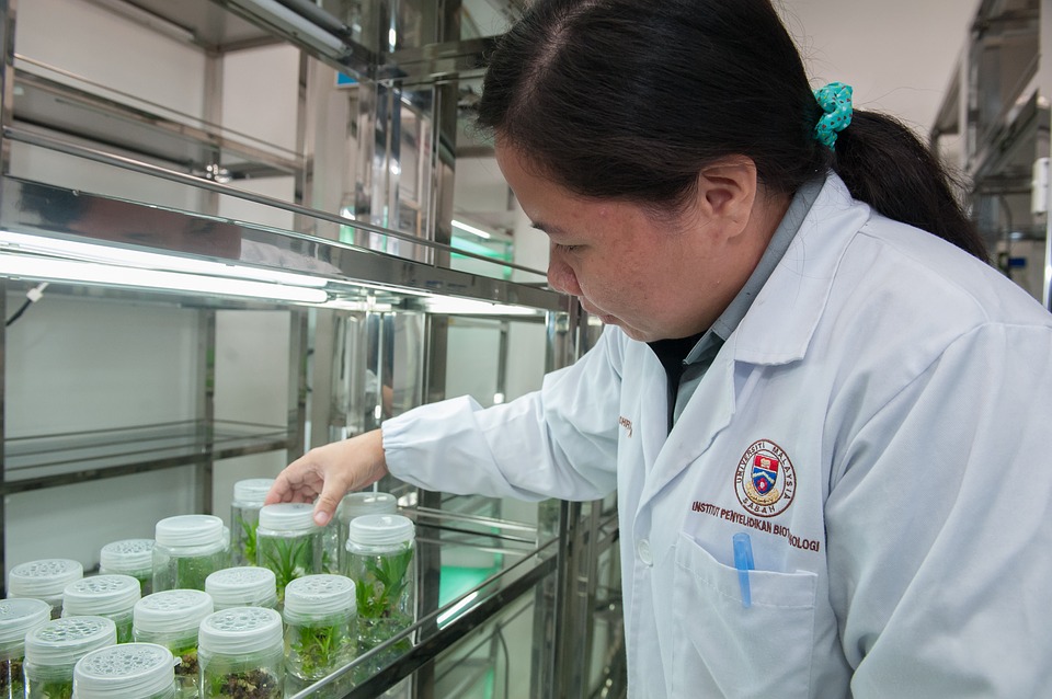 Ao contr&aacute;rio de outras profiss&otilde;es, pressionadas pela quarta revolu&ccedil;&atilde;o industrial, o cen&aacute;rio futuro para os biotecn&oacute;logos &eacute; promissor. Foto: Pixabay