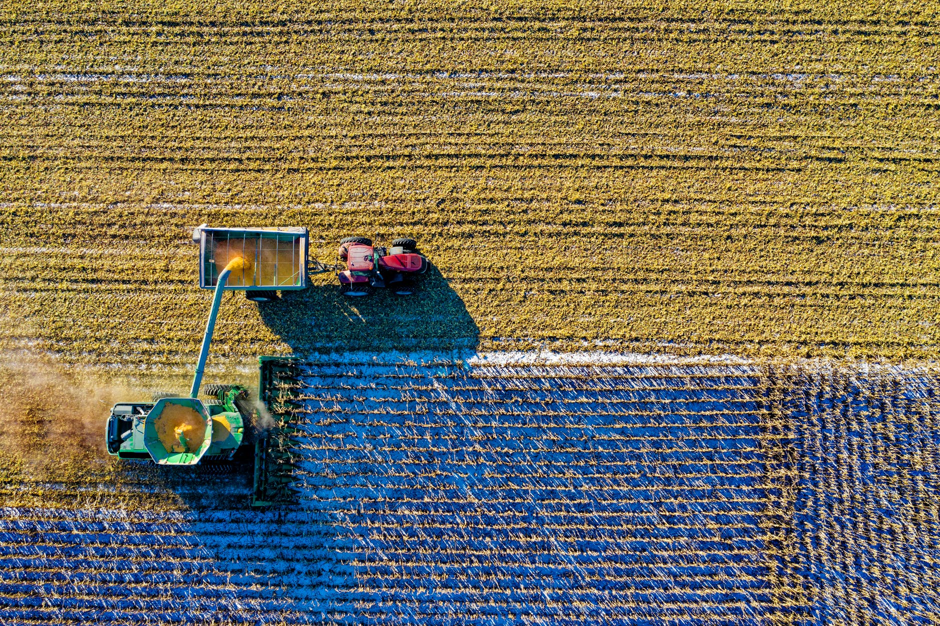 As perspectivas s&atilde;o otimistas e o Brasil j&aacute; re&uacute;ne mais de 135 empresas de desenvolvimento tecnol&oacute;gico direcionadas para o aprimoramento do agroneg&oacute;cio. Foto por Tom Fisk em Pexels.com