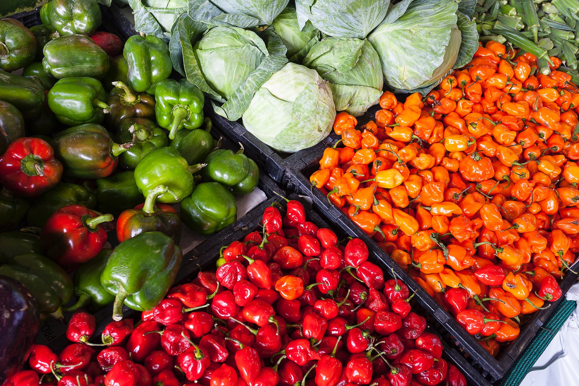 Demanda por produtos veganos favorece os planos de expans&atilde;o da empresa.