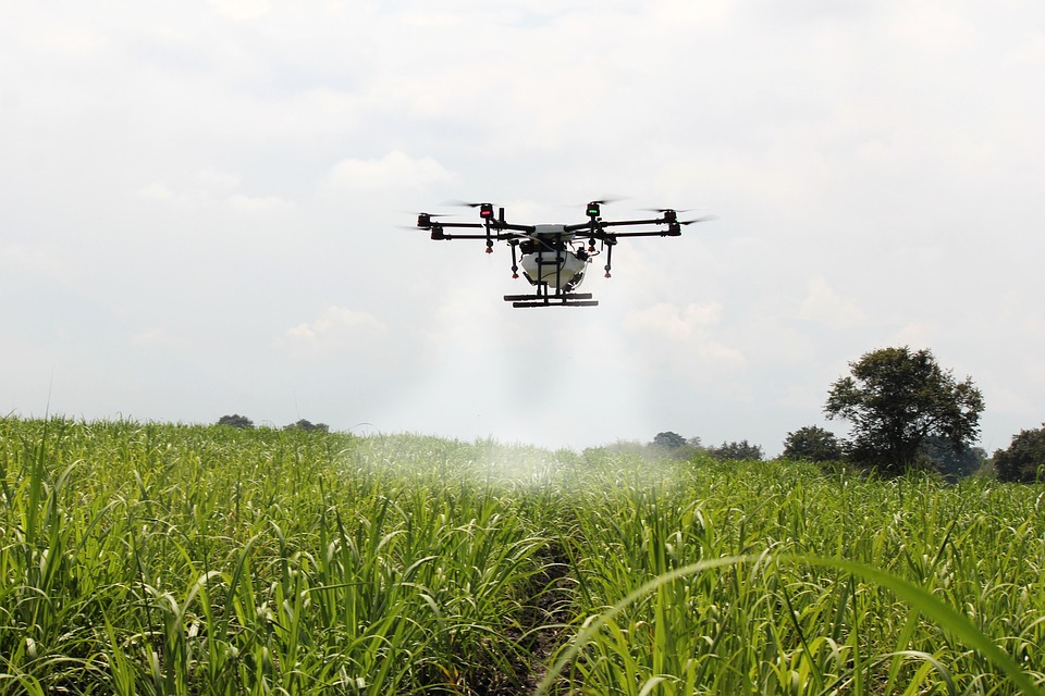 O curso &eacute; destinado a engenheiros agr&ocirc;nomos; gerentes e diretores de opera&ccedil;&atilde;o das &aacute;reas industrial, comercial, marketing, recursos humanos e desenvolvimento de produtos; acionistas do setor do agroneg&oacute;cio; e interessados em agribusiness. Foto: Pixabay