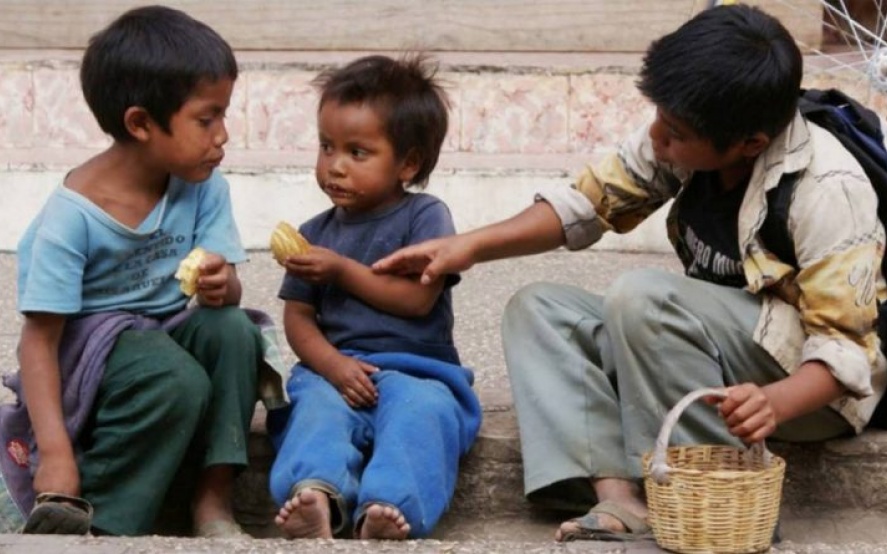 Tend&ecirc;ncia de redu&ccedil;&atilde;o do or&ccedil;amento voltado aos temas da inf&acirc;ncia e adolesc&ecirc;ncia no Brasil precisa ser revertida