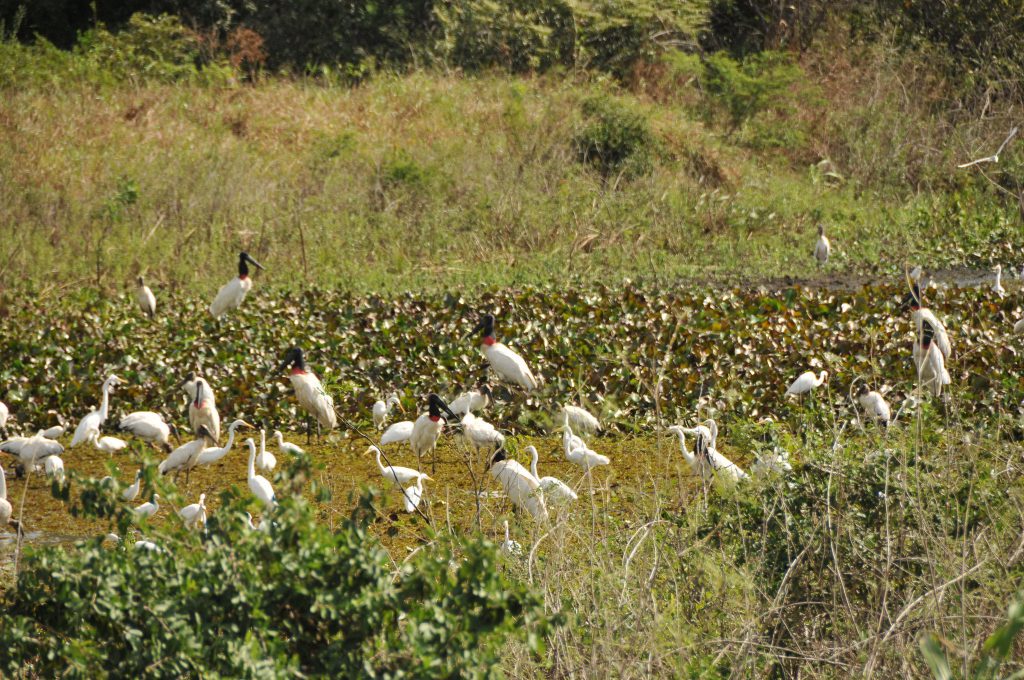 &Eacute; crescente demanda de turismo voltado para o desenvolvimento social, econ&ocirc;mico e ambiental.Foto:Roberto Hungria/Flickr.