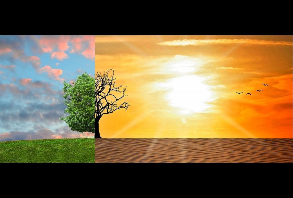 Objetivo do evento foi discutir desafios no combate &agrave;s mudan&ccedil;as clim&aacute;ticas.Foto:Tumisu/Pixabay.