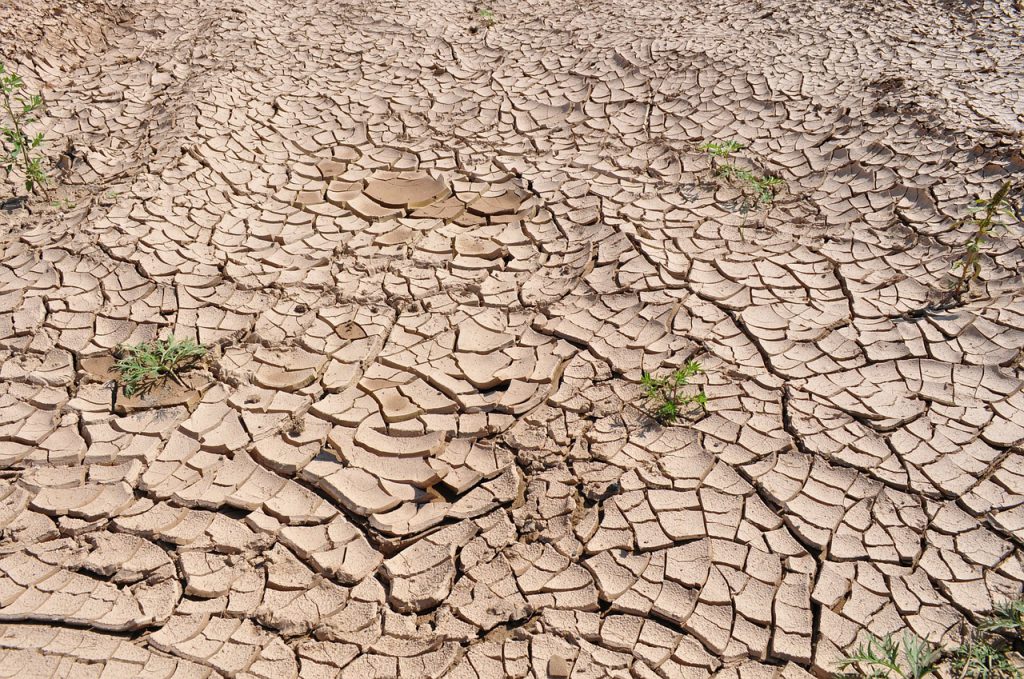 No Dia Mundial do Meio Ambiente, ci&ecirc;ncia e tecnologia se apresentam como aliadas na preven&ccedil;&atilde;o de acidentes ambientais, para contribuir com atividades econ&ocirc;micas sustent&aacute;veis e garantir a qualidade de vida Foto: Pixabay