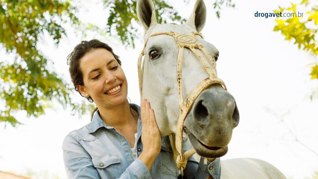 foto divulgacao - mulher afaga cavalo - divulga&ccedil;&atilde;o DrogaVet