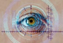 Inteligência Artificial evita fraudes e roubos em fretes
