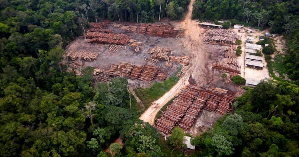 &aacute;rea desmatada na floresta amaz&ocirc;nica - foto Pol&iacute;cia Federal