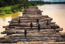 Crise ambiental: a reputação do Brasil se degrada diante do mundo Carregamento de toras em balsa, apreendido pela Polícia Federal em dezembro.