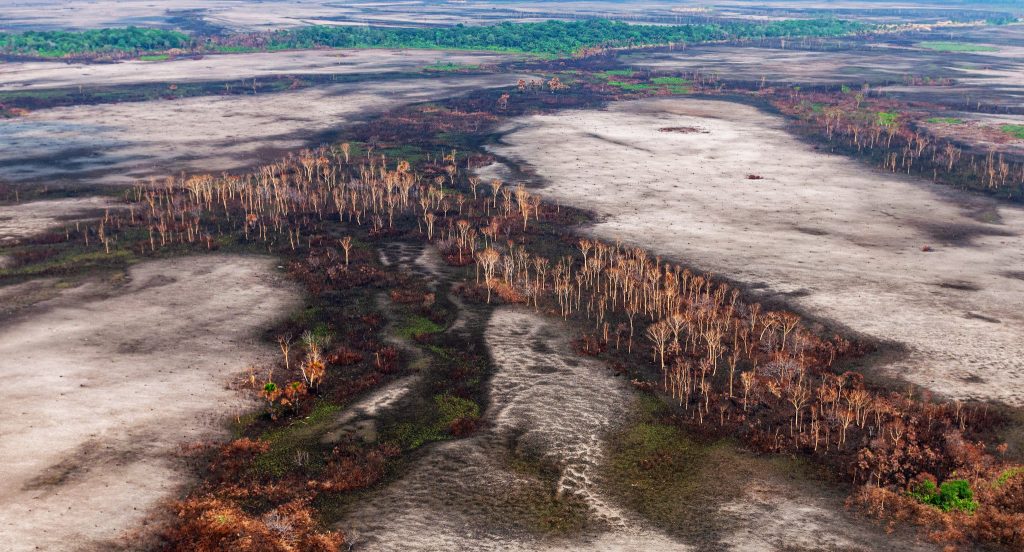 Confira as notas econ&ocirc;micas da semana

&aacute;rea desmatada na amazonia - foto Vin&iacute;cius Mendon&ccedil;a / Ibama