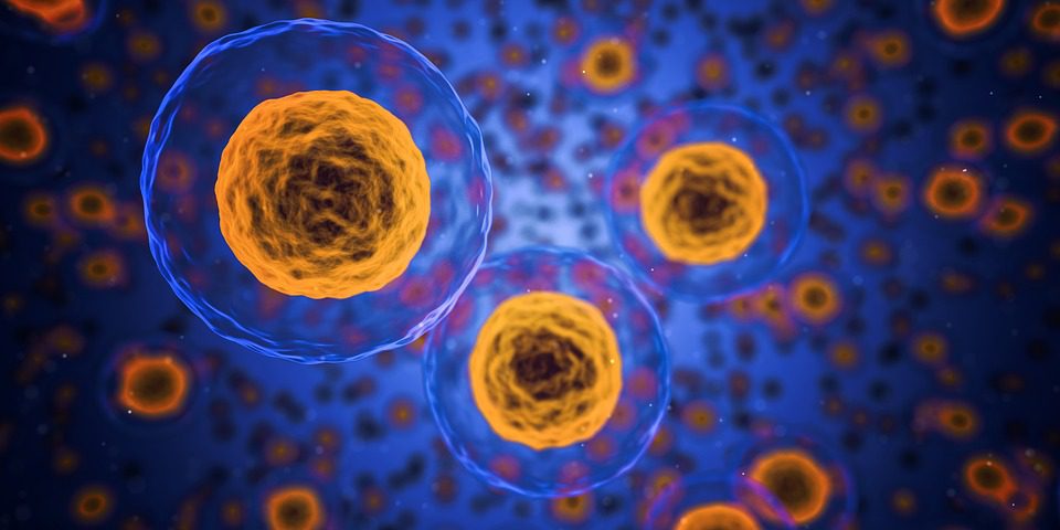 O novo sistema foi desenvolvido a partir de nanopartículas feitas de materiais chamados de teranósticos – com aplicações simultâneas em terapia e em diagnóstico – desenvolvidos pelos pesquisadores nos últimos anos. Imagem: Pixabay