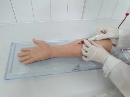 Desenvolvida pela brasileira Csanmek, plataforma é utilizada para treinamento cirúrgico e dissecação virtual nas aulas de anatomia. Foto: divulgação