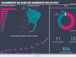 Analista de dados cria dashboard da evolução do avistamento de óleo no litoral brasileiro.
