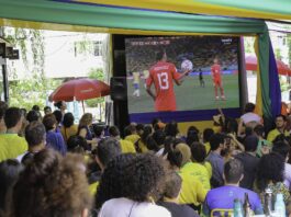 Torcedores acompanham o jogo Brasil x Suiça em Brasilia - Foto: Fabio Rodrigues-Pozzebom/ Agência Brasil