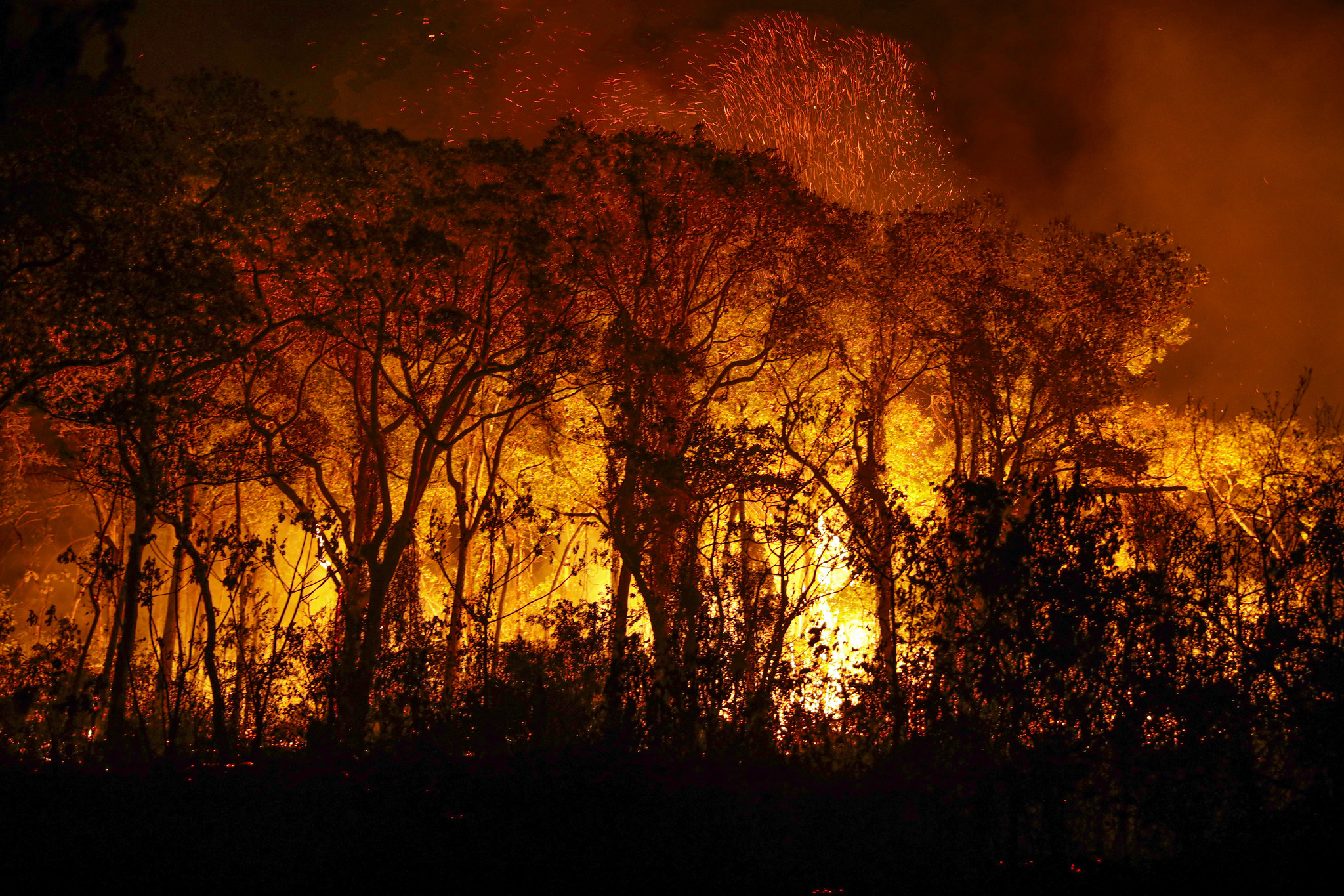 fogo no pantanal fogo no pantanal - Foto: Joédson Alves/Agência Brasil
