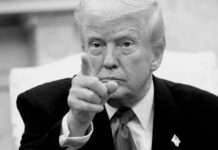 Trump desnuda o espírito do capitalismo